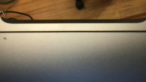 Snapshot of soflastiffyboy69 chatting on 11/13/25, 08:19 soflastiffyboy69 online show from 11/13/25, 08:19