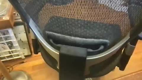 soflastiffyboy69 online show from 05/17/26, 04:58