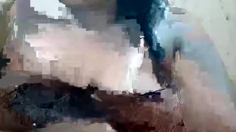 soft_bads online show from 10/09/25, 10:46