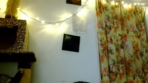 Sofia online show from 02/19/26, 03:46