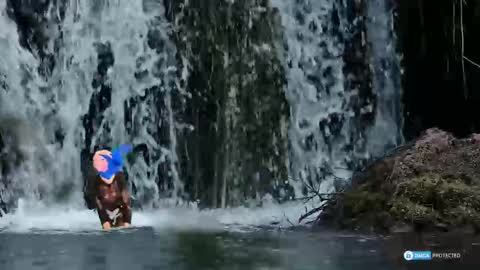 Snapshot of solisii chatting on 11/01/25, 09:11 solisii online show from 11/01/25, 09:11