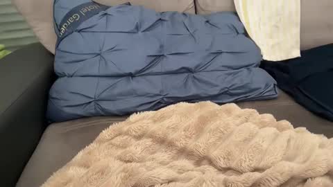 Tayla online show from 02/28/26, 11:11