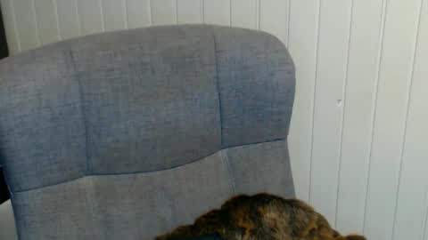 Snapshot of sonjairene chatting on 01/08/25, 03:51 sonjairene online show from 01/08/25, 03:51