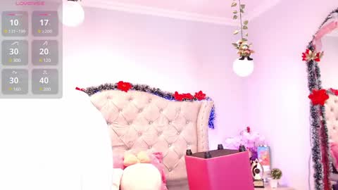 Shophi online show from 12/28/24, 08:25