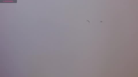 Sophie online show from 11/17/25, 08:25