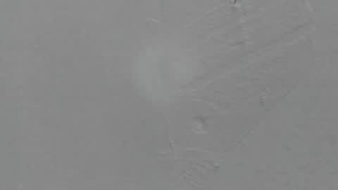 sophia_ebony___ online show from 02/08/26, 01:14