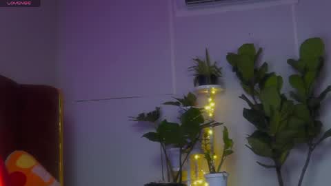 Sophia online show from 04/22/26, 07:59