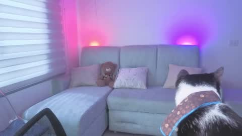 Sophie  online show from 05/25/26, 03:18
