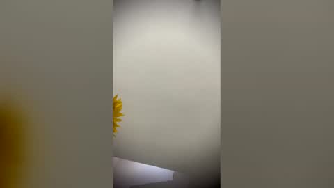 sophie_smith19 online show from 03/15/26, 12:55