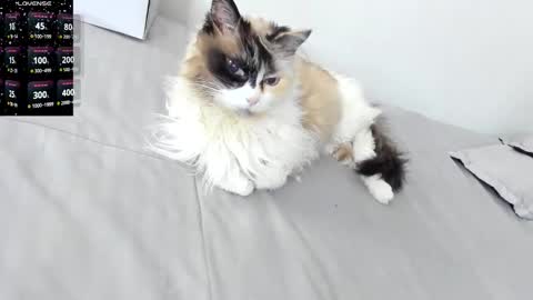 Snapshot of sophiebaker__ chatting on 02/03/26, 02:10 sophiebaker__ online show from 02/03/26, 02:10