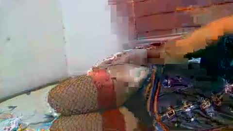 Soulless Jenica online show from 04/21/26, 02:26