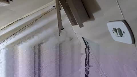 Snapshot of souzabig chatting on 09/14/25, 03:16 souzabig online show from 09/14/25, 03:16