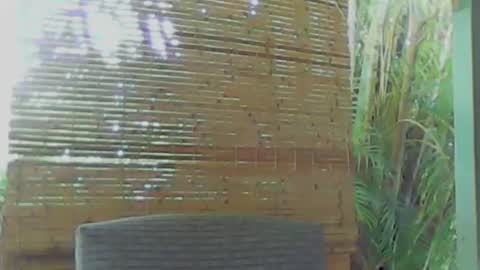 soveryhandsome online show from 01/09/25, 05:34