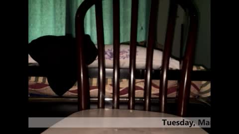 Snapshot of space_dog25 chatting on 03/03/26, 05:24 space Dog25 online show from 03/03/26, 05:24