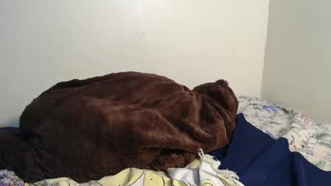 dela online show from 02/02/25, 03:43