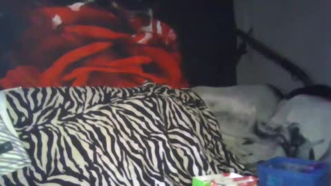 Snapshot of splashh_queen317 chatting on 09/26/25, 08:13 Daddy His Splash Queen online show from 09/26/25, 08:13