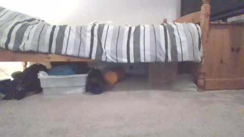 Sportyguy283 online show from 03/04/25, 10:05