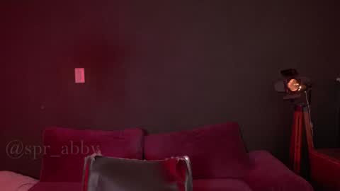 Snapshot of spr_abby chatting on 12/08/24, 11:19 Abby online show from 12/08/24, 11:19