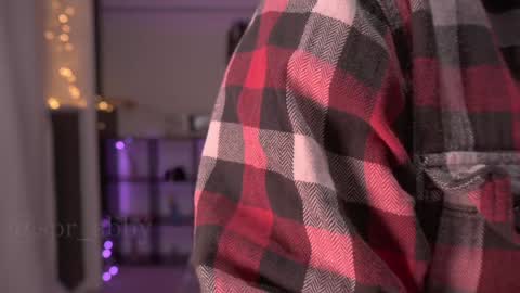 Snapshot of spr_abby chatting on 12/20/24, 11:26 Abby online show from 12/20/24, 11:26