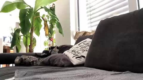 Spritzer669 online show from 12/13/24, 12:28