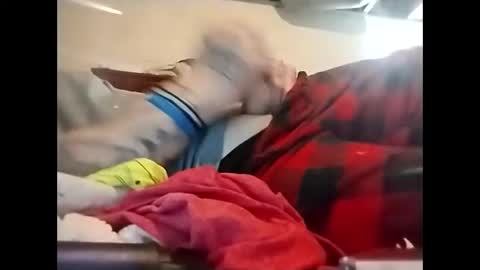 spundaddyandprincess online show from 12/08/24, 02:30