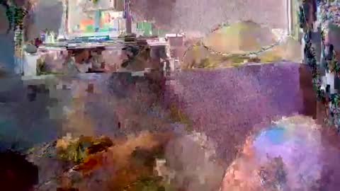 srekos38 online show from 04/20/26, 05:43