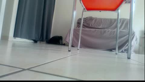 ssenzo online show from 12/21/25, 02:13