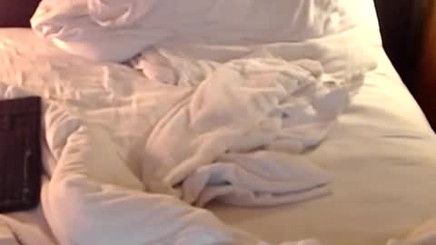 Snapshot of st8llion chatting on 01/11/25, 02:41 st8llion online show from 01/11/25, 02:41