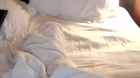 Snapshot of st8llion chatting on 01/24/25, 07:19 st8llion online show from 01/24/25, 07:19