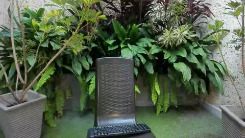 STAAR HOT online show from 02/01/26, 12:26