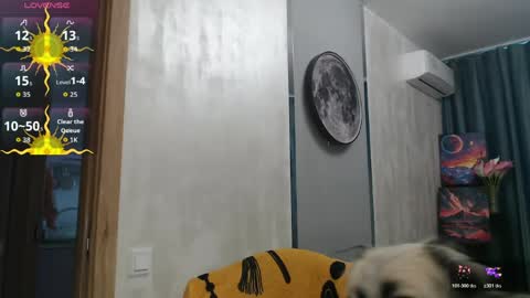 STACY online show from 05/28/26, 11:40