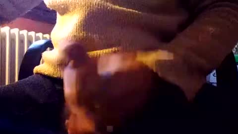 Snapshot of stalloneumbro chatting on 12/31/24, 01:08 CIPPALIPPA online show from 12/31/24, 01:08