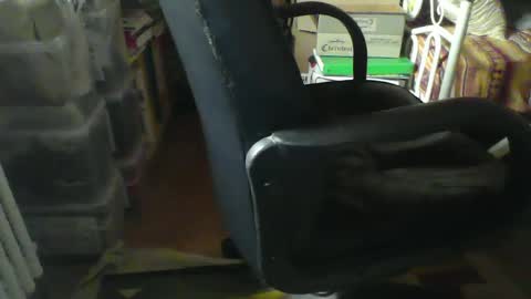 Snapshot of stalloneumbro chatting on 01/21/25, 08:52 CIPPALIPPA online show from 01/21/25, 08:52