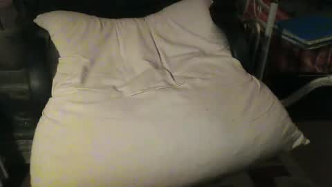 Snapshot of stalloneumbro chatting on 01/22/25, 03:07 CIPPALIPPA online show from 01/22/25, 03:07