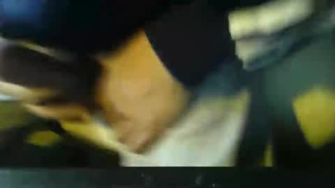 Snapshot of stalloneumbro chatting on 11/02/25, 12:40 CIPPALIPPA online show from 11/02/25, 12:40