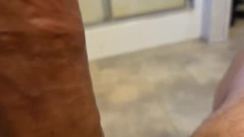 Snapshot of stareyes0249 chatting on 09/11/25, 10:32 stareyes0249 online show from 09/11/25, 10:32