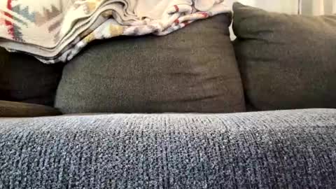 starr3095 online show from 11/04/25, 03:22