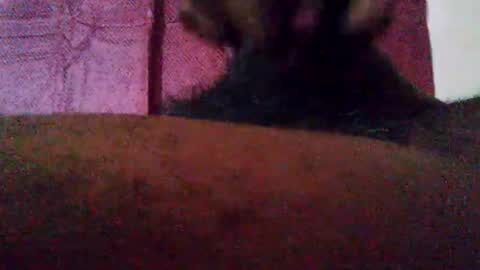 Snapshot of stebel666185 chatting on 09/22/25, 01:24 stebel666185 online show from 09/22/25, 01:24