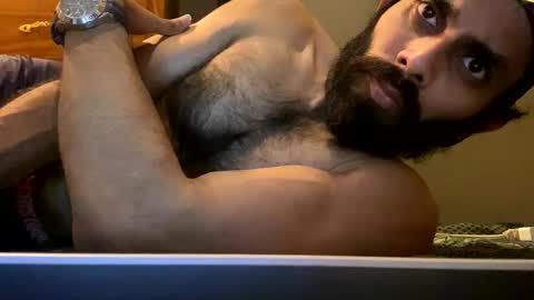 Lobo del Antiguo Oriente online show from 04/22/26, 01:52