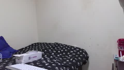 STEFANA online show from 11/30/25, 05:44