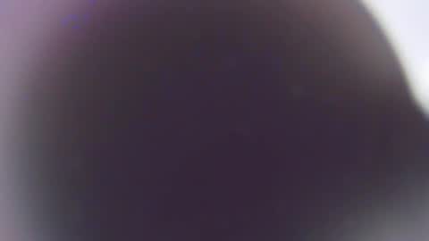 Stefano online show from 12/03/25, 11:41