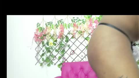 stefany_bitch online show from 11/06/25, 02:07
