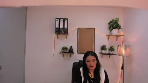 Stefy  online show from 02/27/26, 12:05