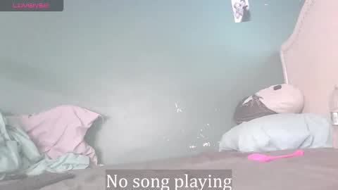 Stella Clitella online show from 11/21/25, 01:32