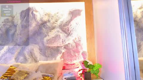 S T E L L A online show from 04/22/26, 05:58