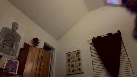 Snapshot of stellakobra chatting on 11/15/25, 08:11 stellakobra online show from 11/15/25, 08:11