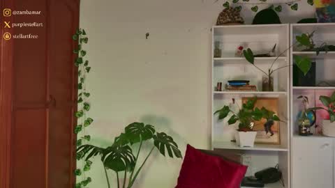 stellart_ online show from 11/30/25, 10:14