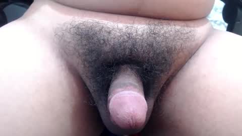 Stellaven online show from 01/24/25, 10:11