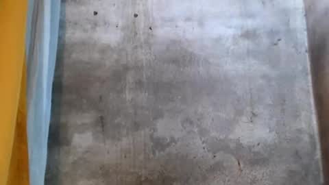 stephanie172 online show from 01/16/26, 02:26