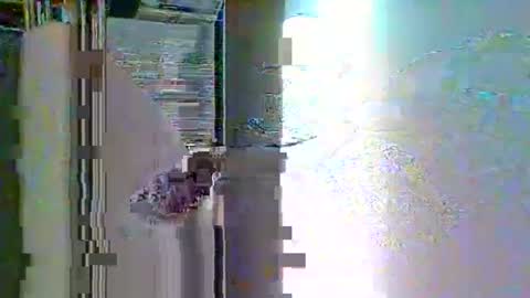 Ian23602 online show from 01/06/26, 01:37